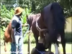 All natural amateur mother I'd like to fuck squats and gives a horse a oral-service whilst its owner watches